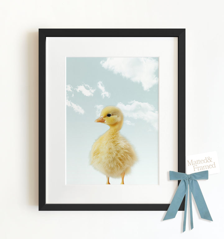 Baby Duckling Framed Art