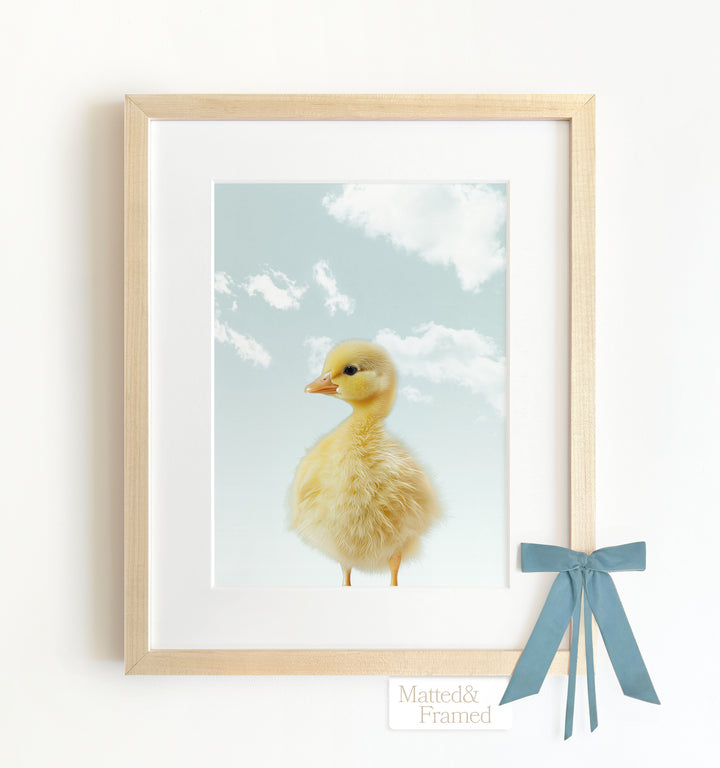 Baby Duckling Framed Art