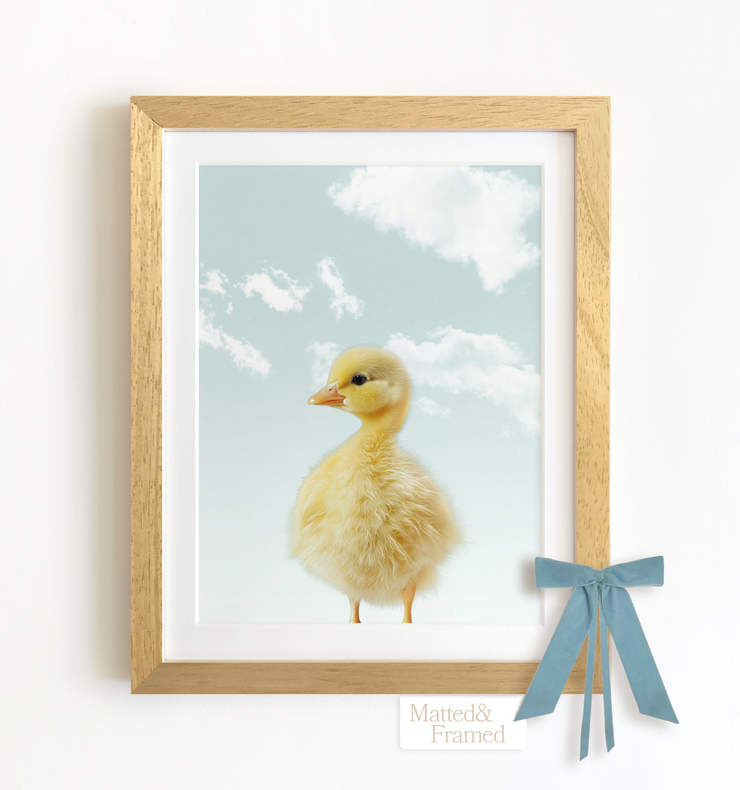 Baby Duckling Framed Art