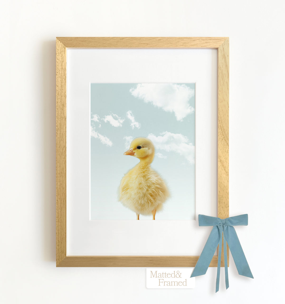 Baby Duckling Framed Art