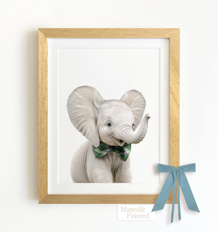 Baby Elephant Framed Art