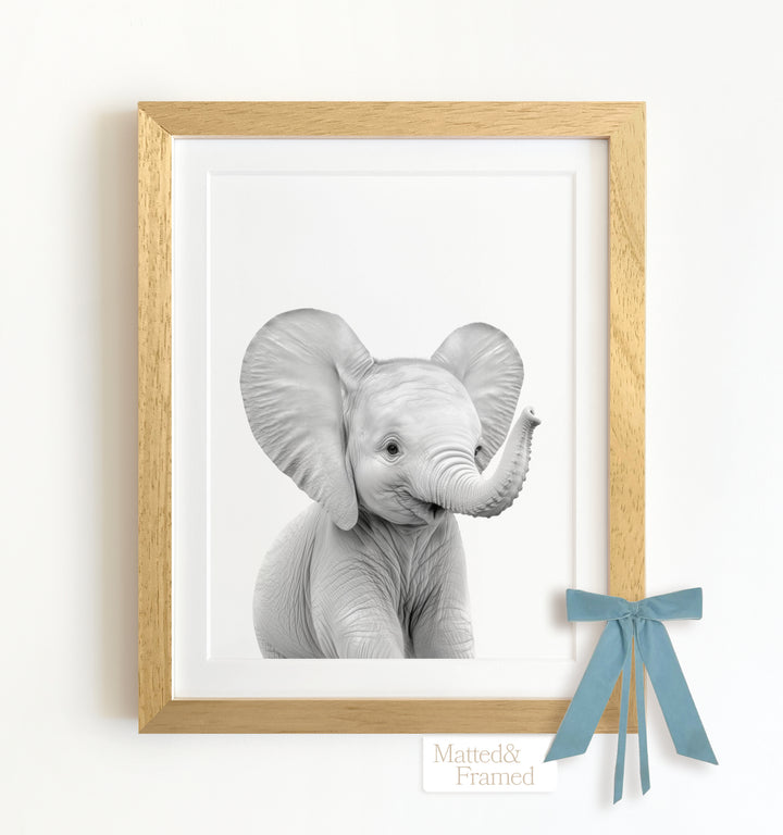 Baby Elephant Framed Art