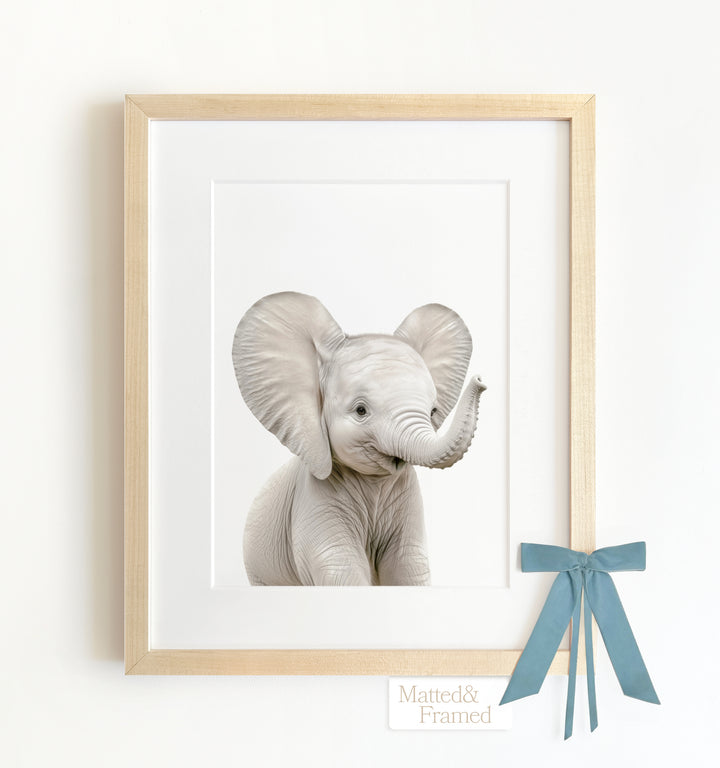 Baby Elephant Framed Art