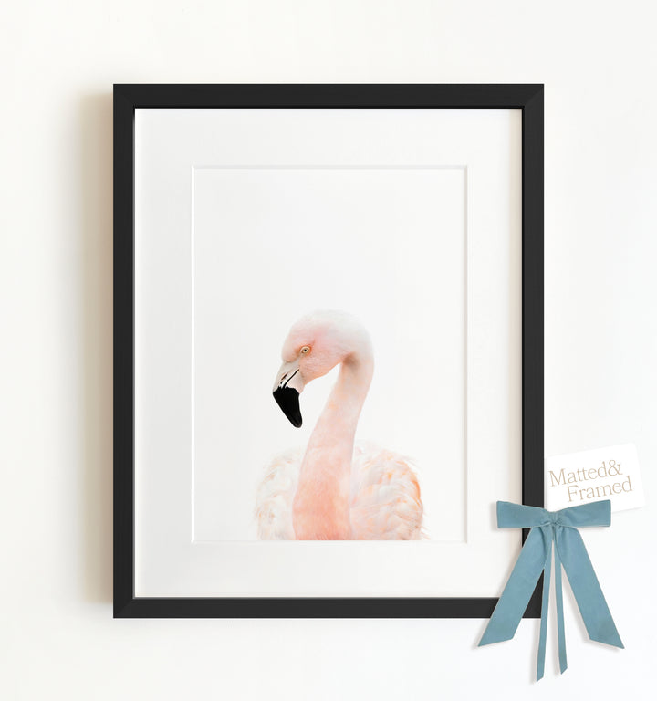 Baby Flamingo Framed Art