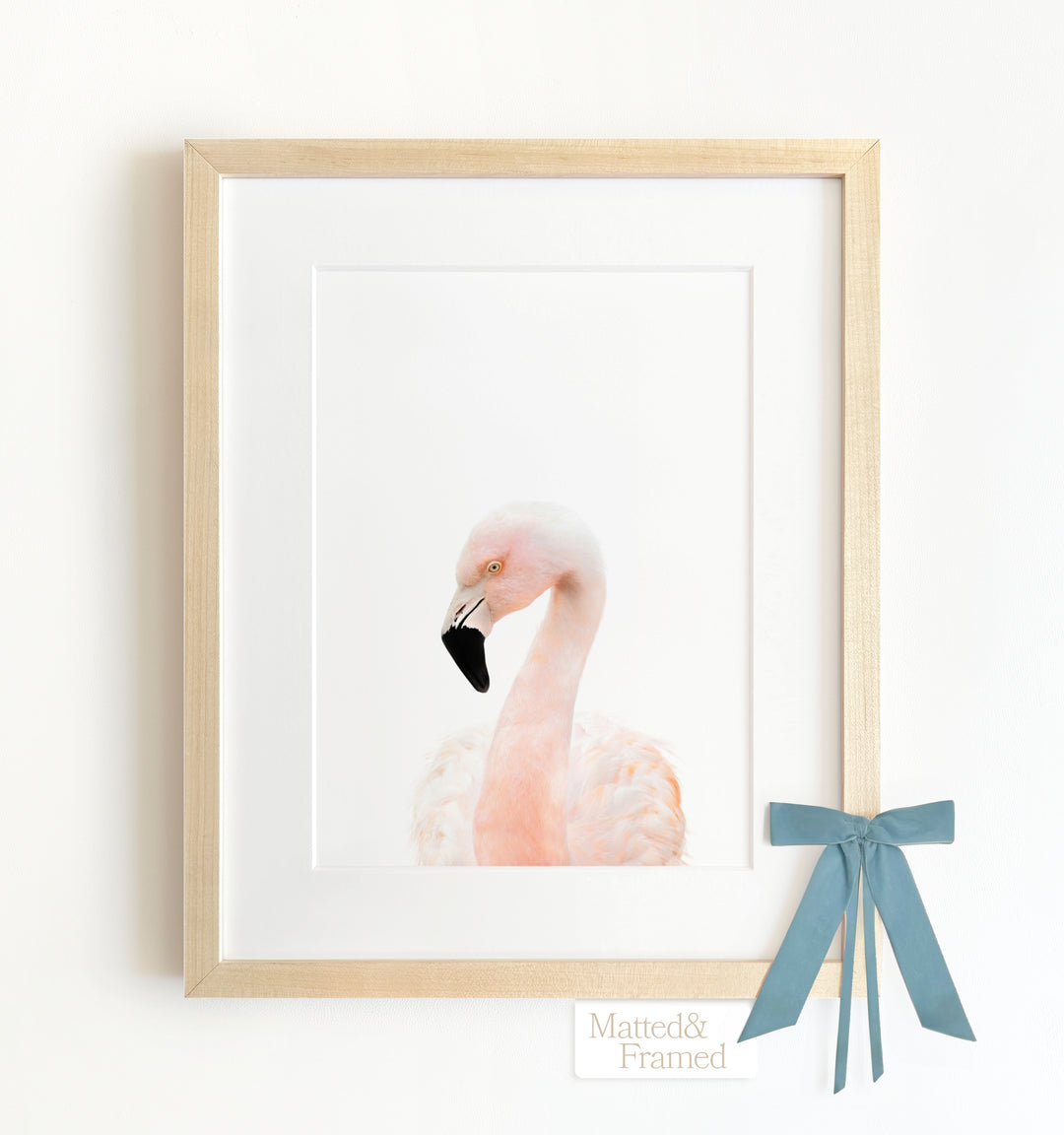 Baby Flamingo Framed Art