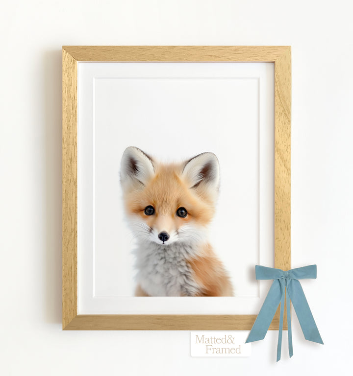 Baby Fox Framed Art