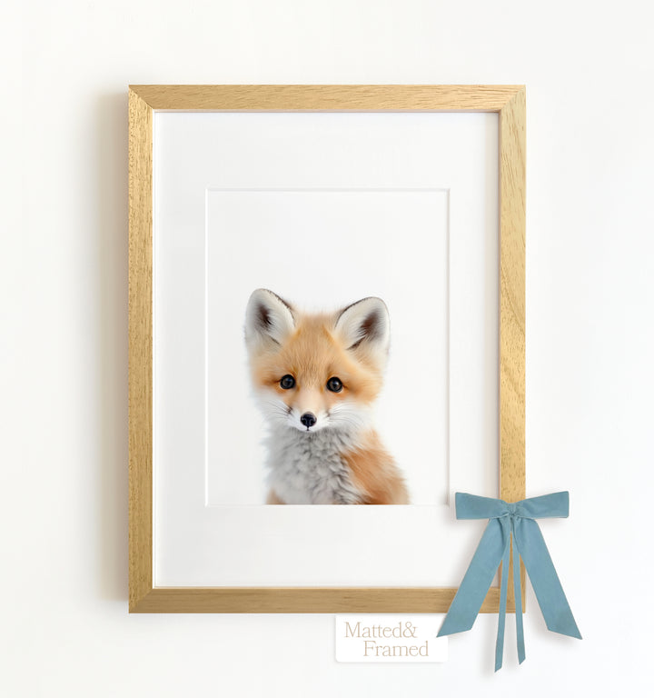 Baby Fox Framed Art