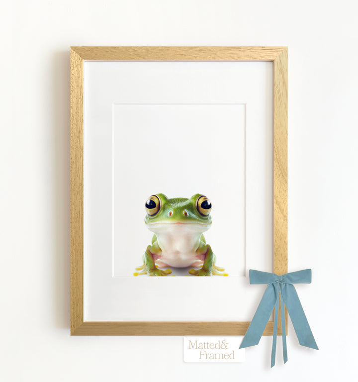 Baby Frog Framed Art