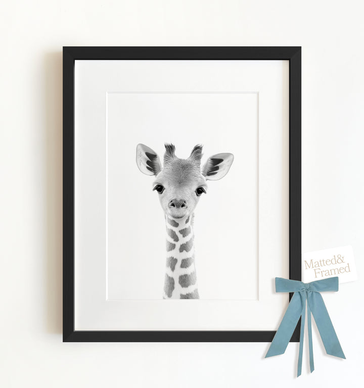 Baby Giraffe Framed Art