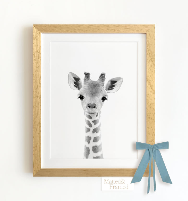 Baby Giraffe Framed Art