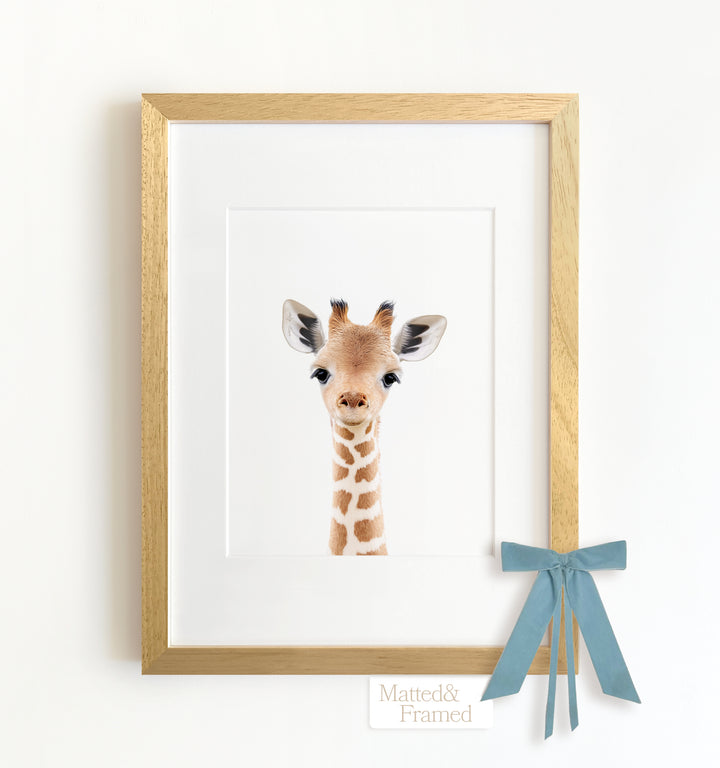 Baby Giraffe Framed Art