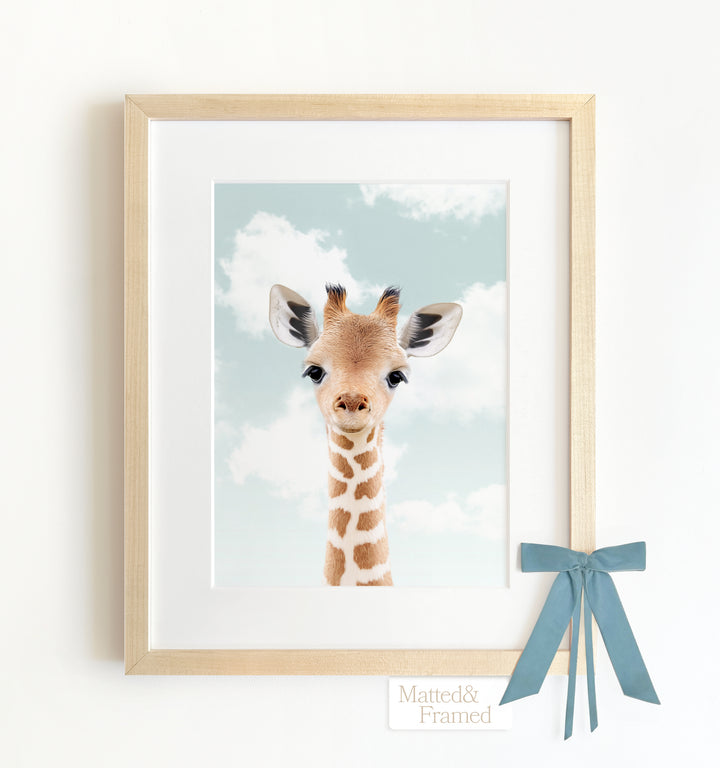 Baby Giraffe Framed Art