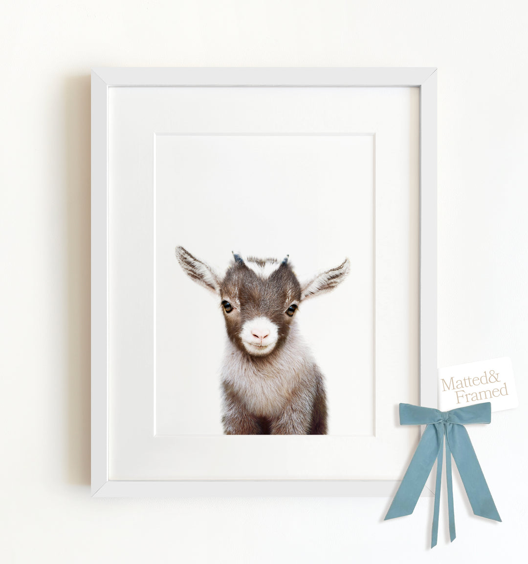 Baby Goat Framed Art