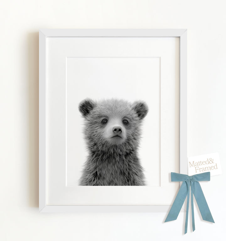 Baby Grizzly Bear Framed Art