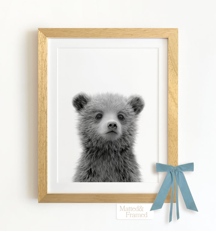 Baby Grizzly Bear Framed Art