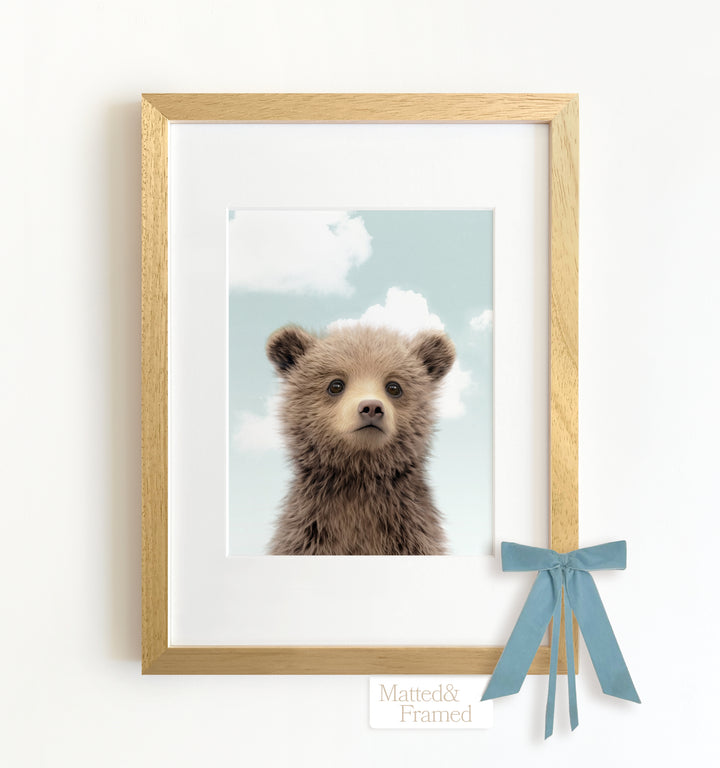 Baby Grizzly Bear Framed Art