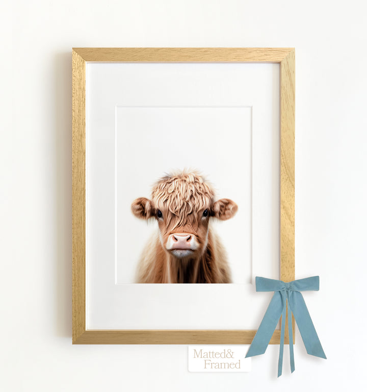 Baby Highland Cow Framed Art