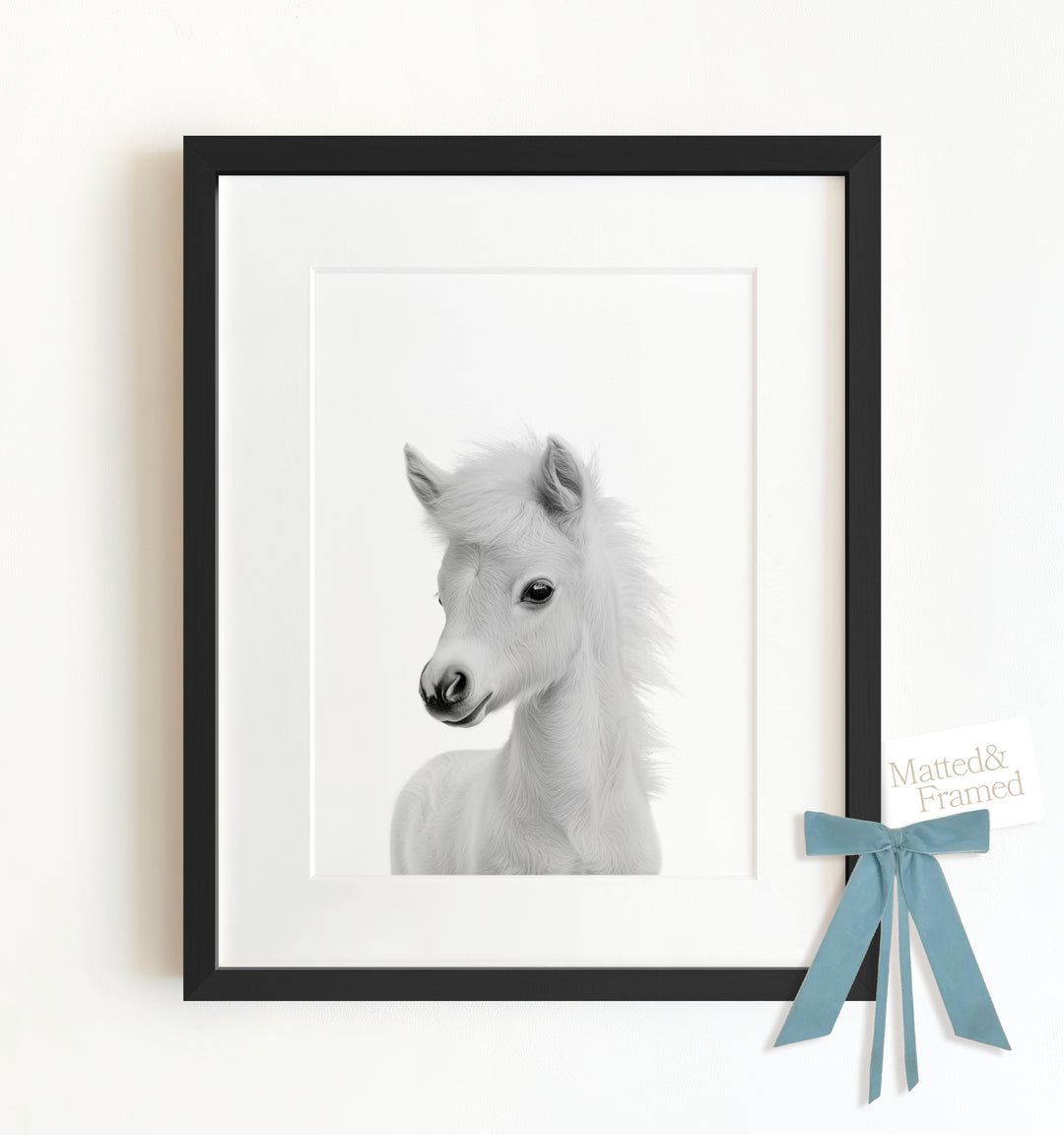 Baby Horse Framed Art