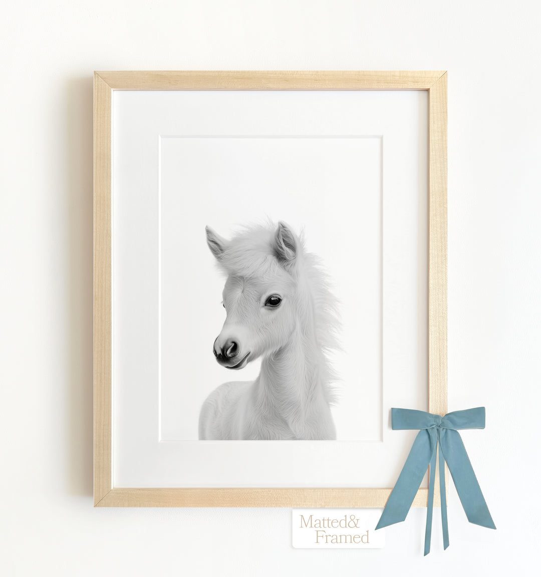 Baby Horse Framed Art