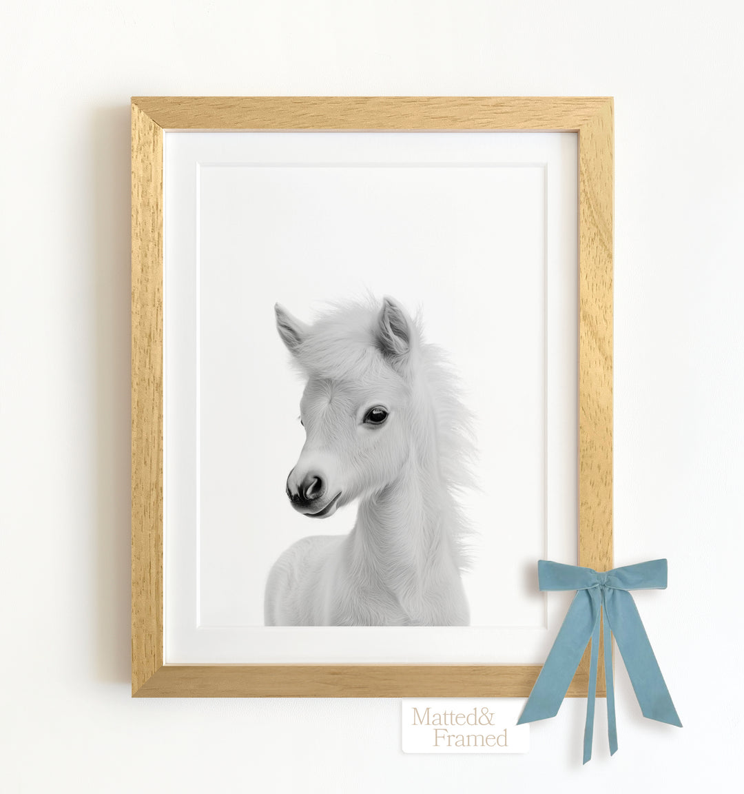 Baby Horse Framed Art