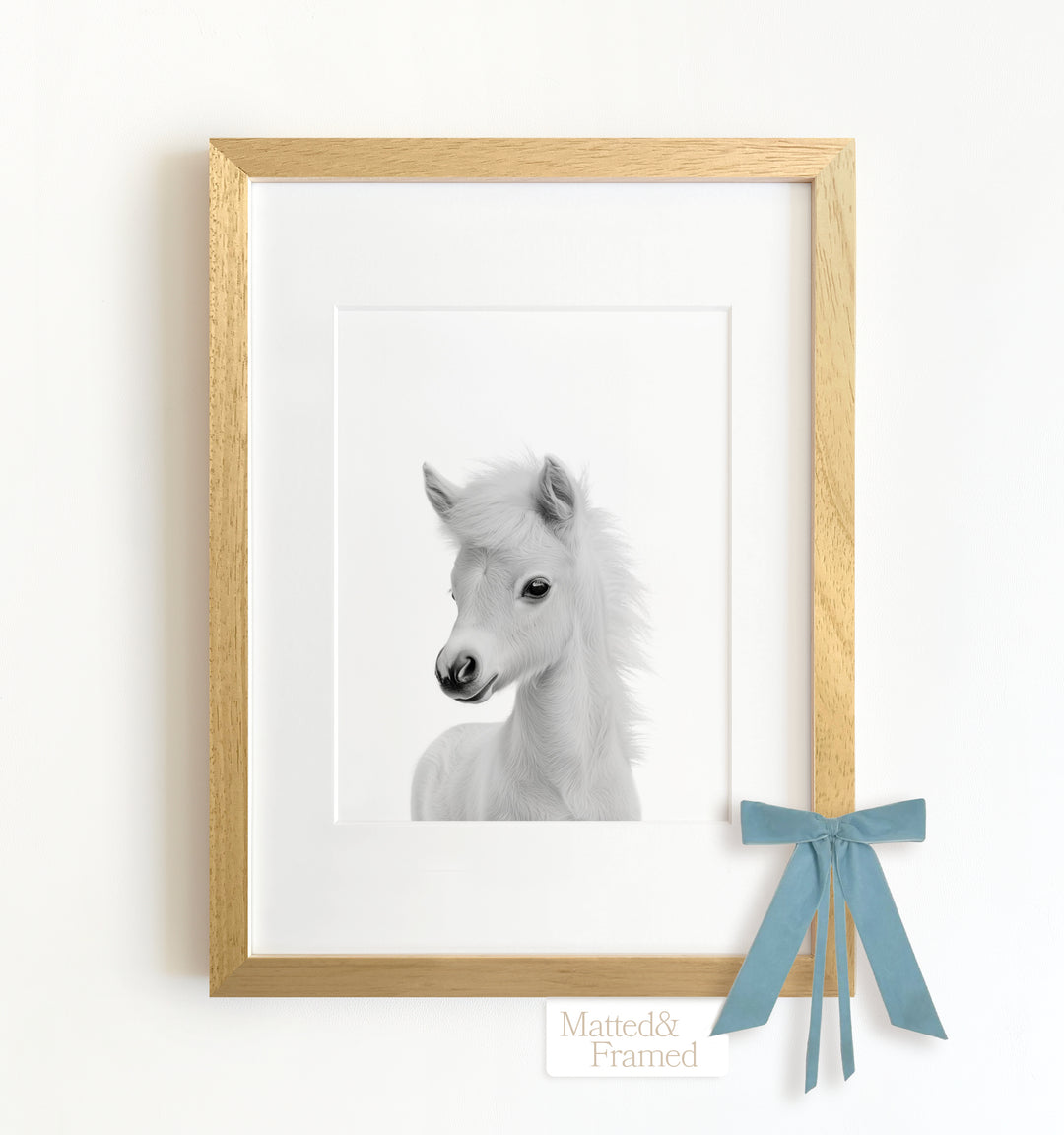 Baby Horse Framed Art