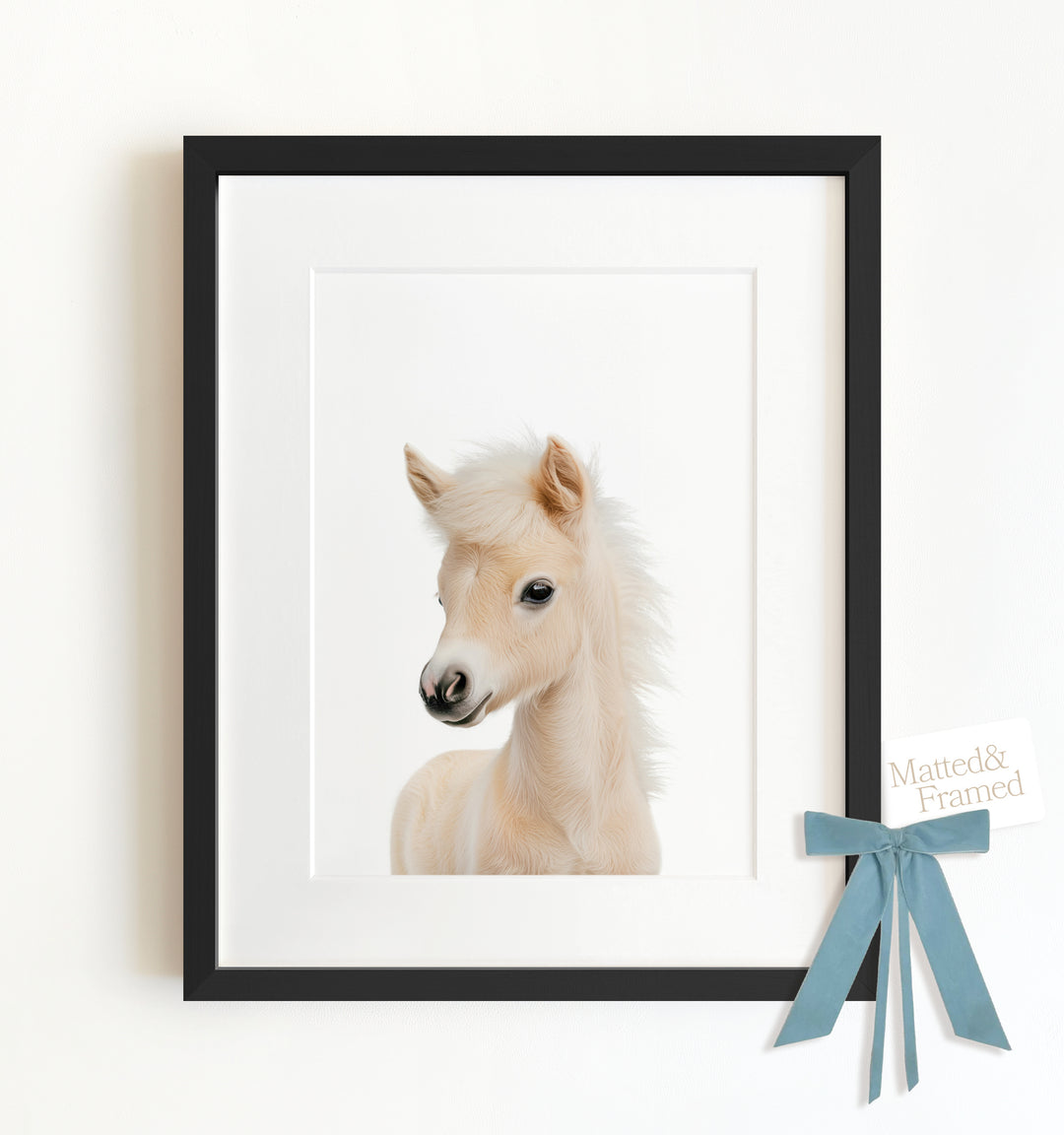 Baby Horse Framed Art