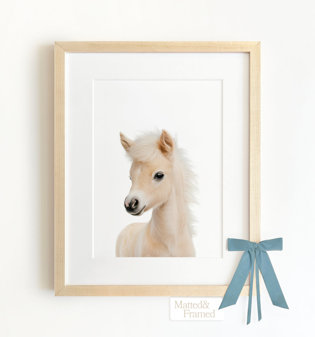 Baby Horse Framed Art