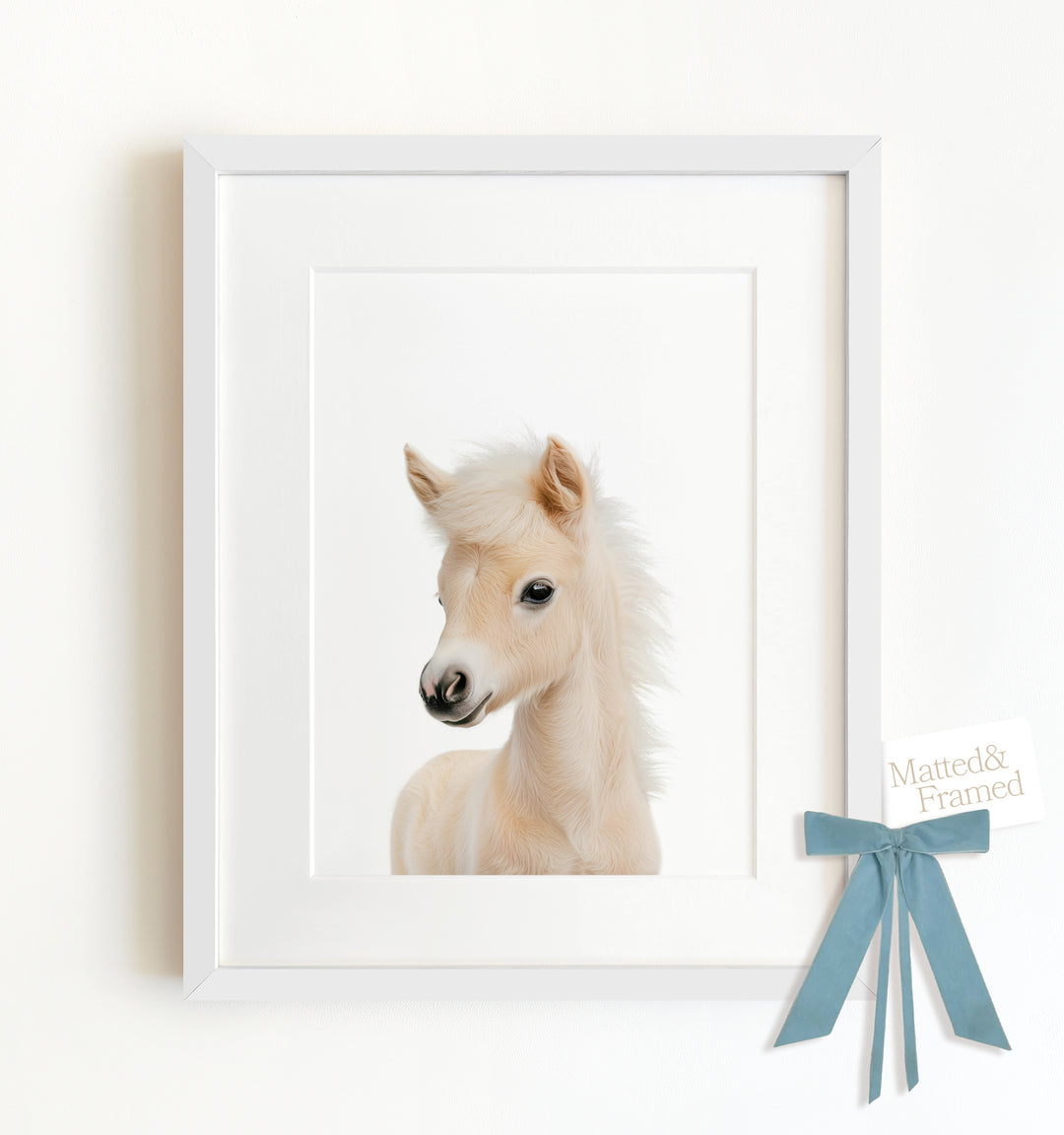 Baby Horse Framed Art