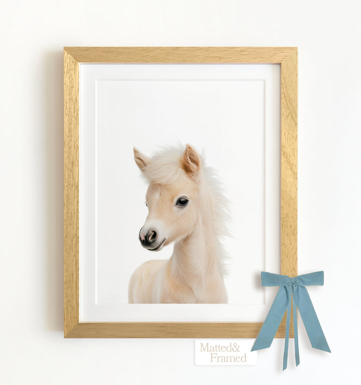 Baby Horse Framed Art