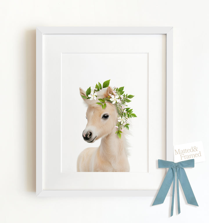 Baby Horse Framed Art