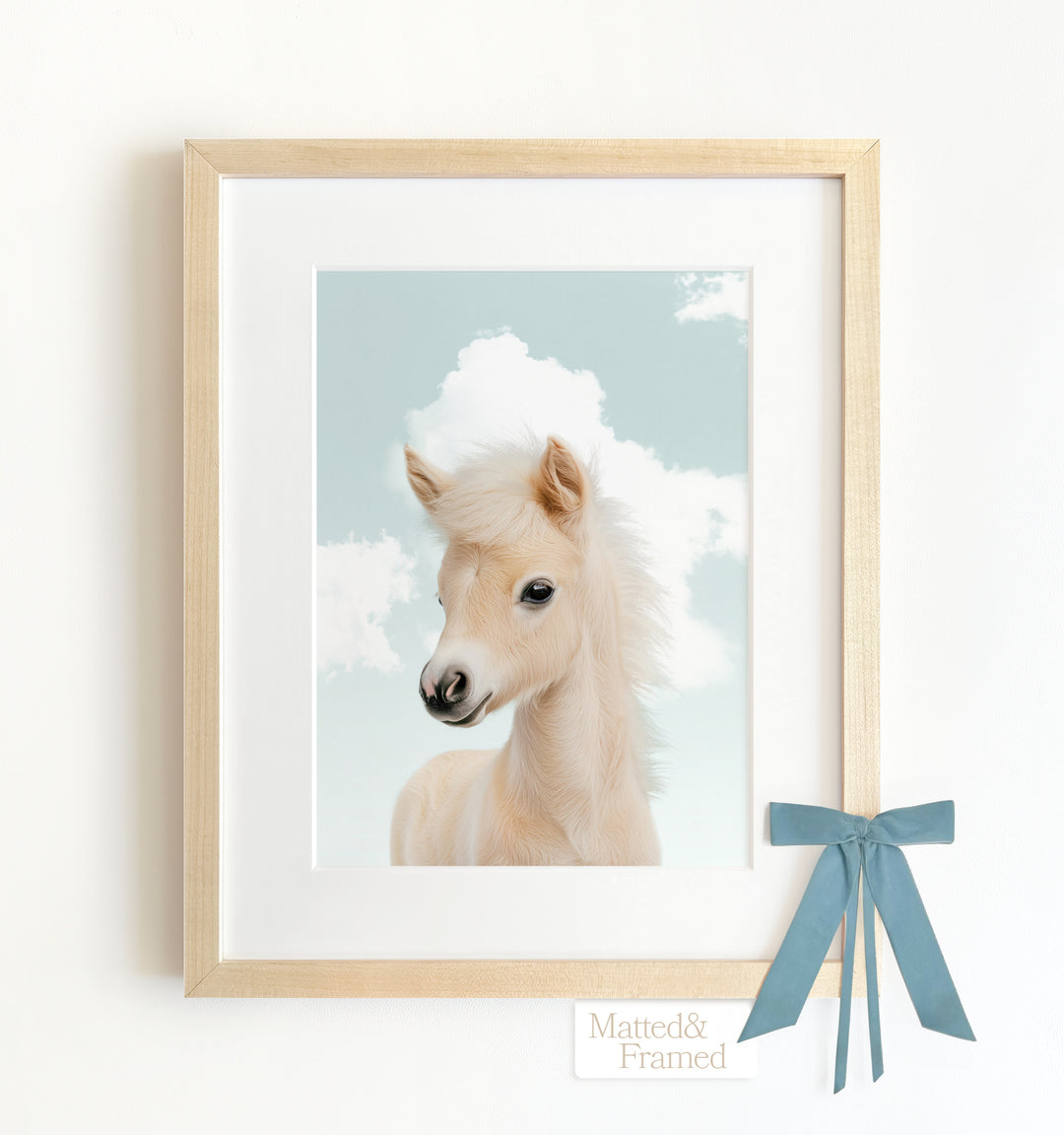 Baby Horse Framed Art