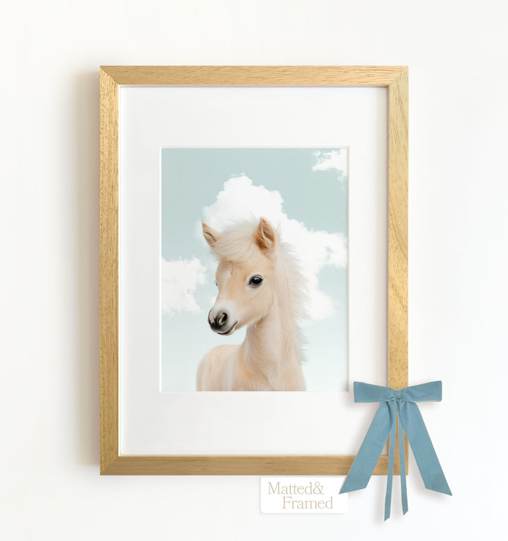 Baby Horse Framed Art