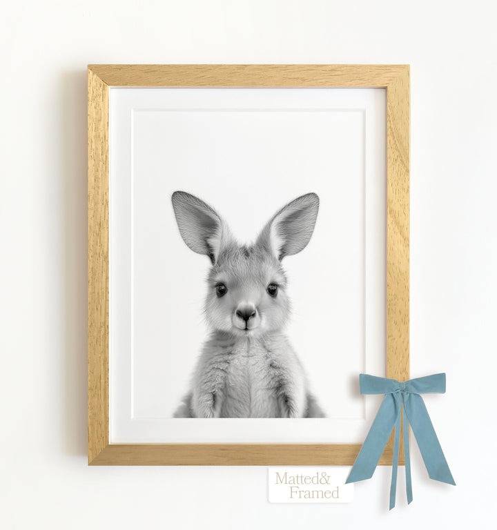 Baby Kangaroo Framed Art