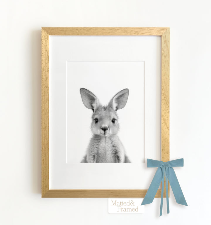 Baby Kangaroo Framed Art