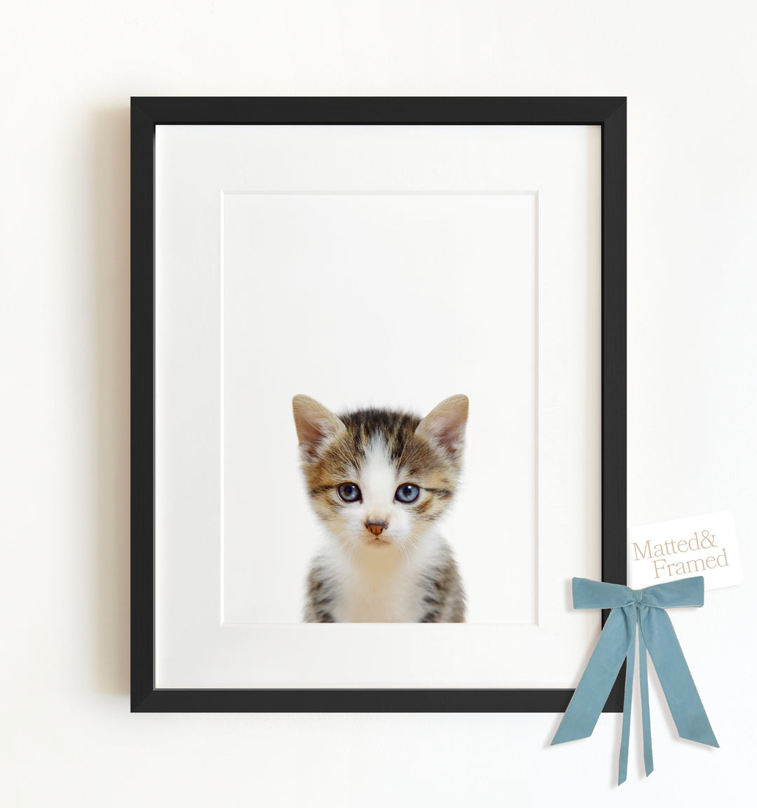 Baby Kitten Framed Art