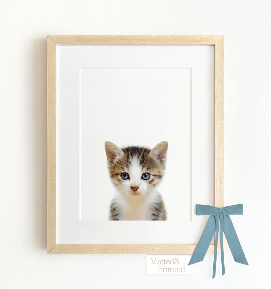 Baby Kitten Framed Art