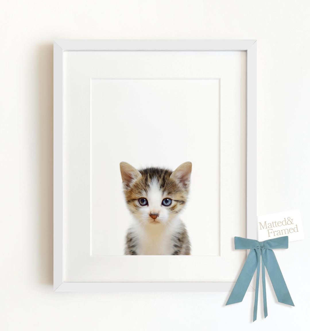 Baby Kitten Framed Art