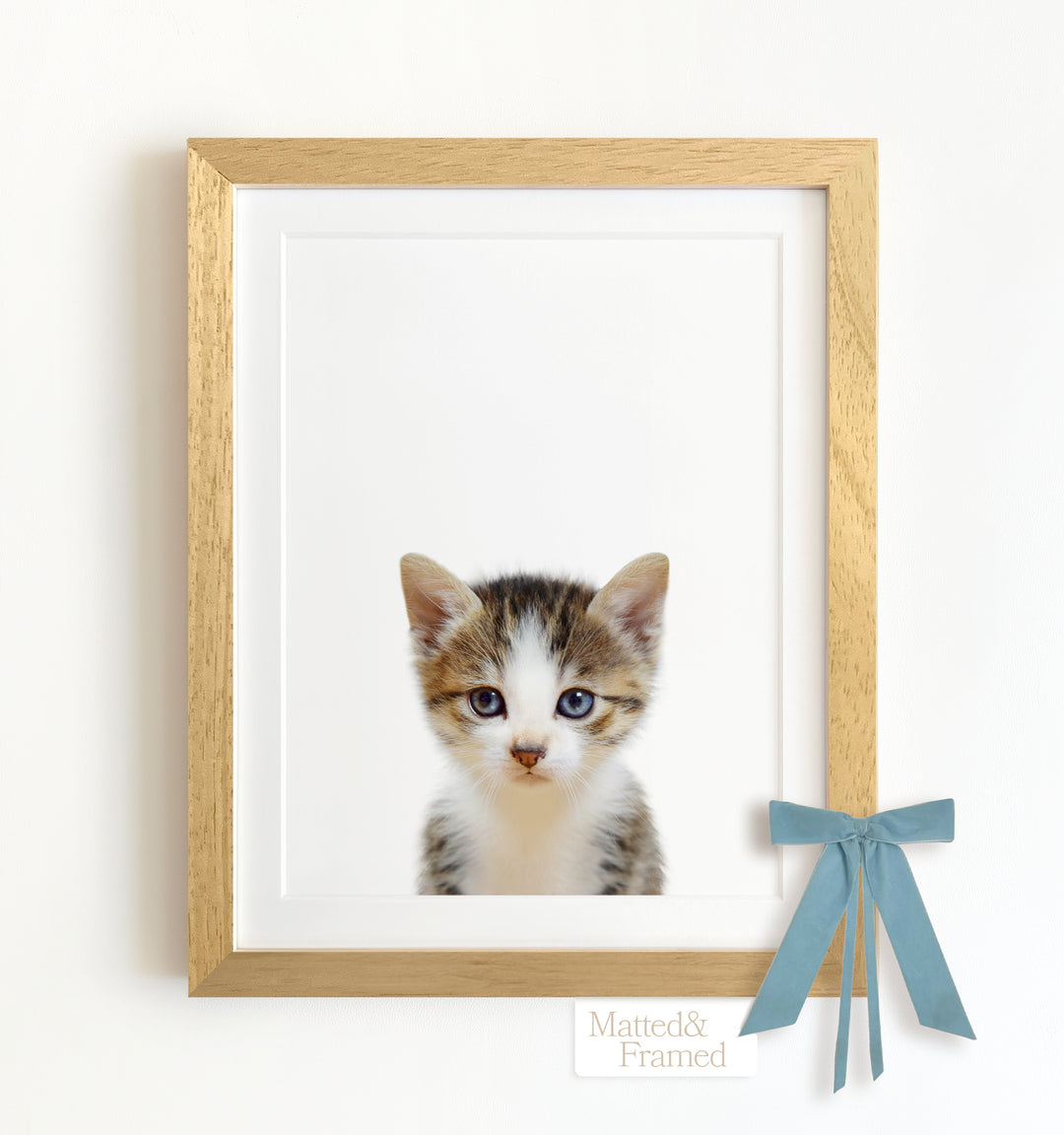 Baby Kitten Framed Art