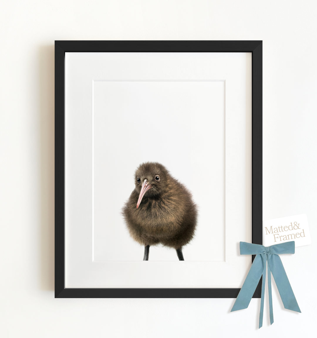 Baby Kiwi Bird Framed Art