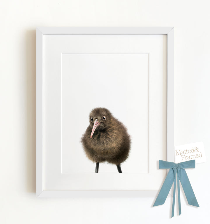 Baby Kiwi Bird Framed Art