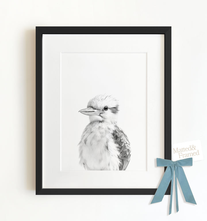 Baby Kookaburra Framed Art