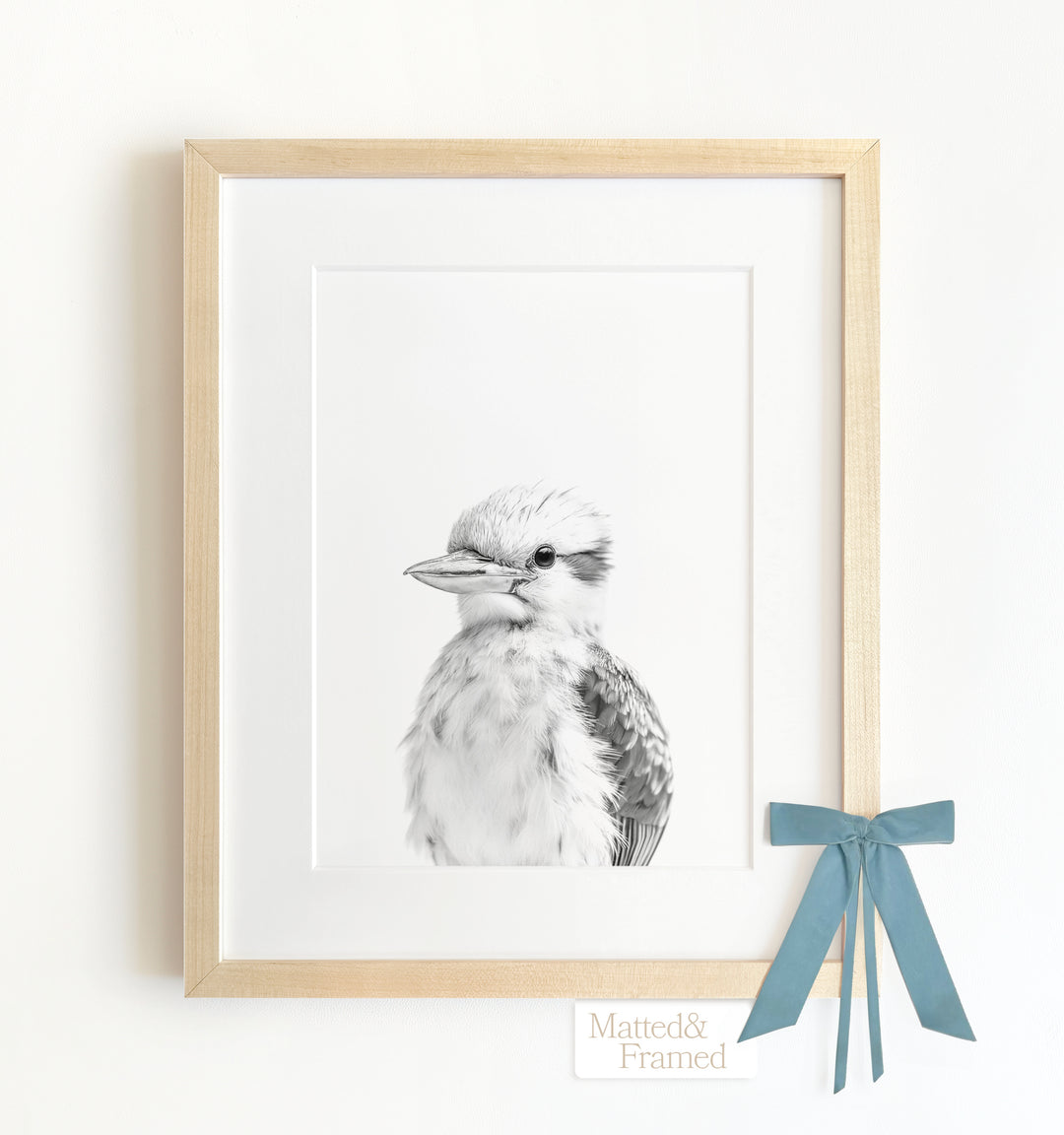 Baby Kookaburra Framed Art