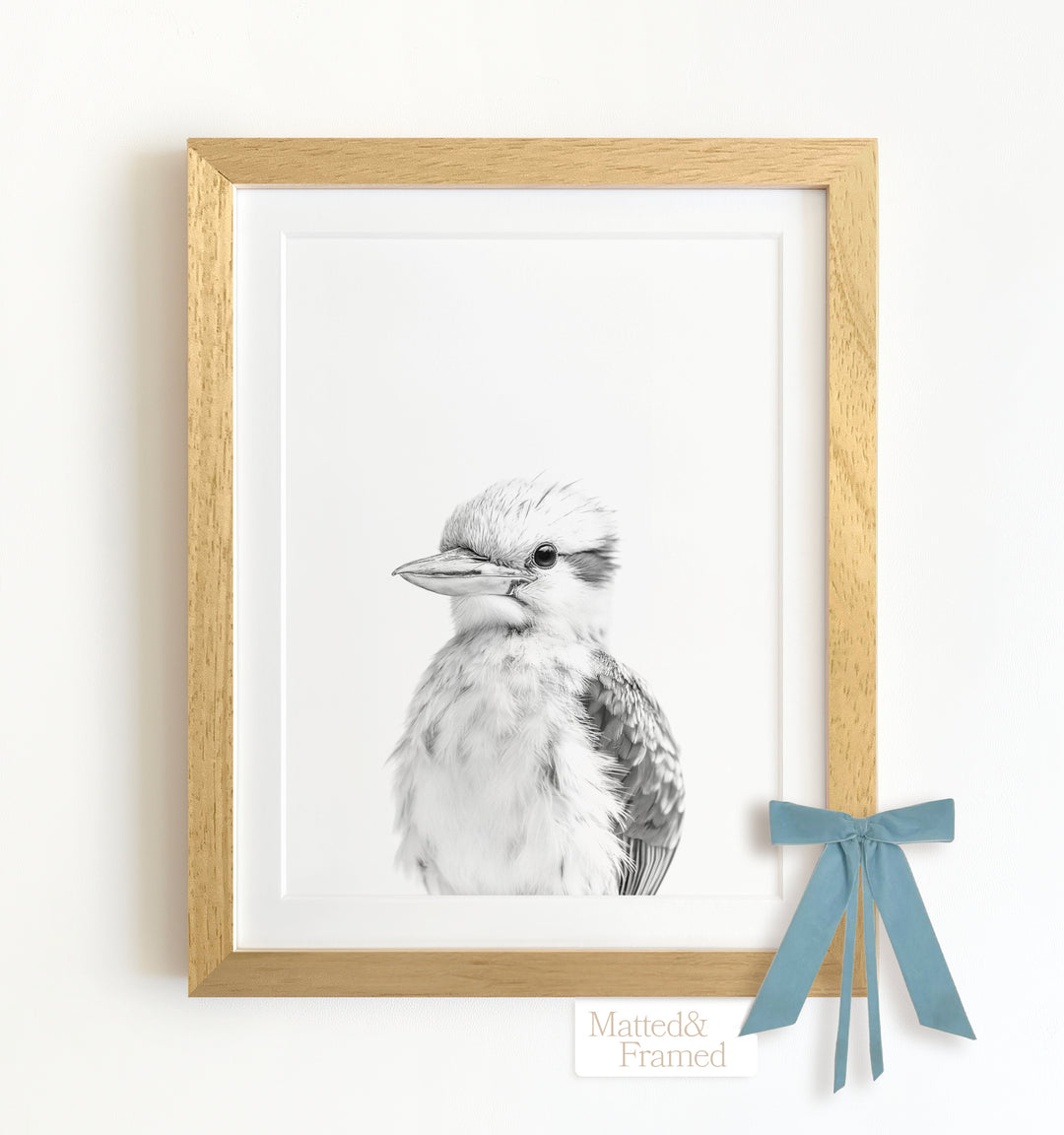 Baby Kookaburra Framed Art