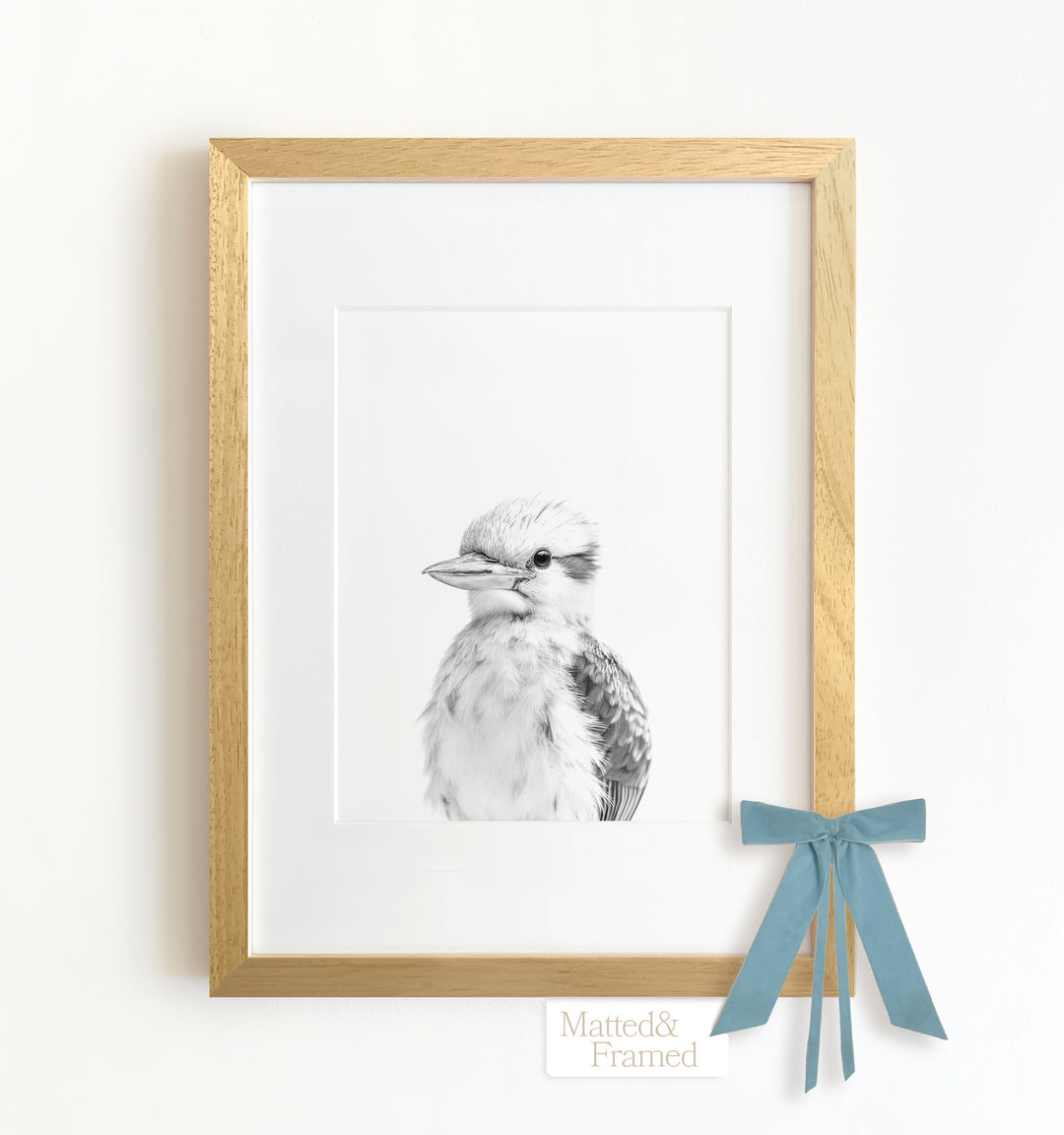 Baby Kookaburra Framed Art