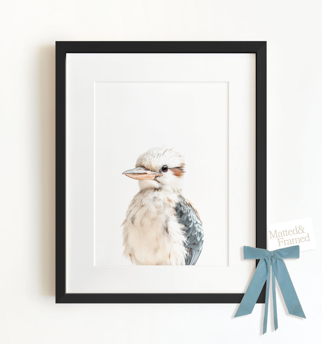 Baby Kookaburra Framed Art