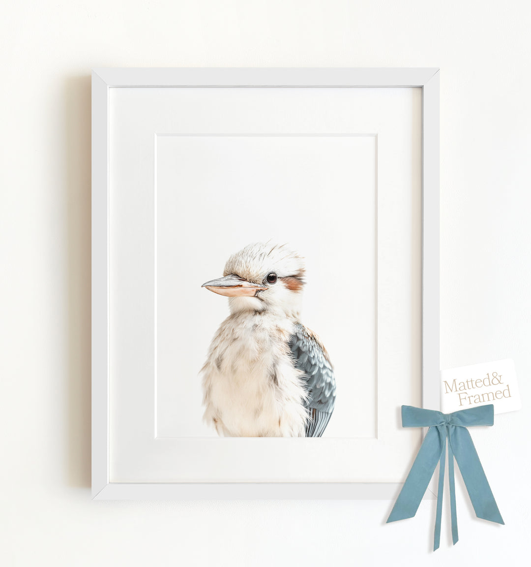 Baby Kookaburra Framed Art