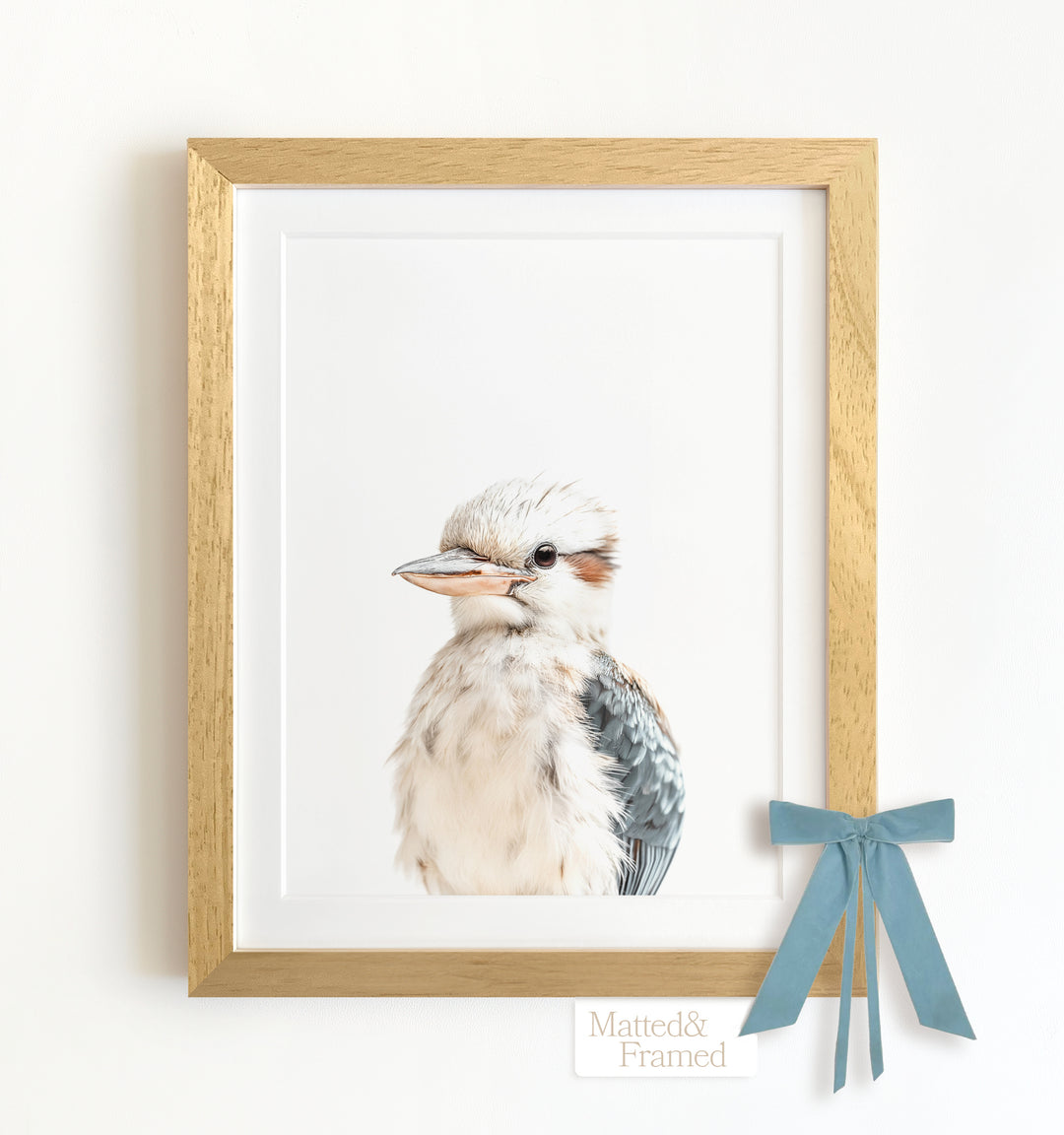 Baby Kookaburra Framed Art