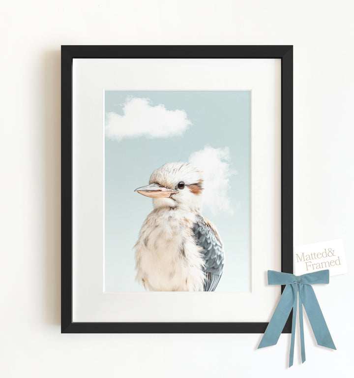 Baby Kookaburra Framed Art