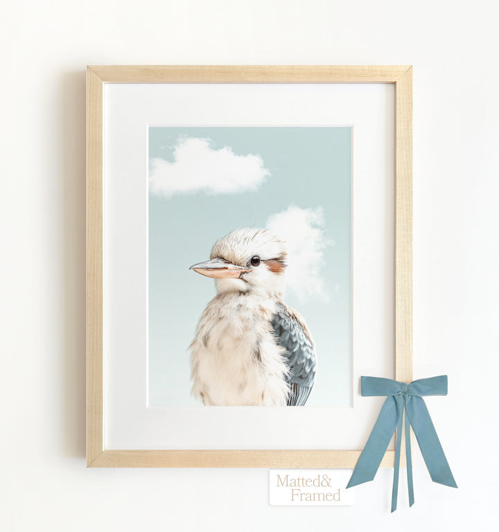 Baby Kookaburra Framed Art