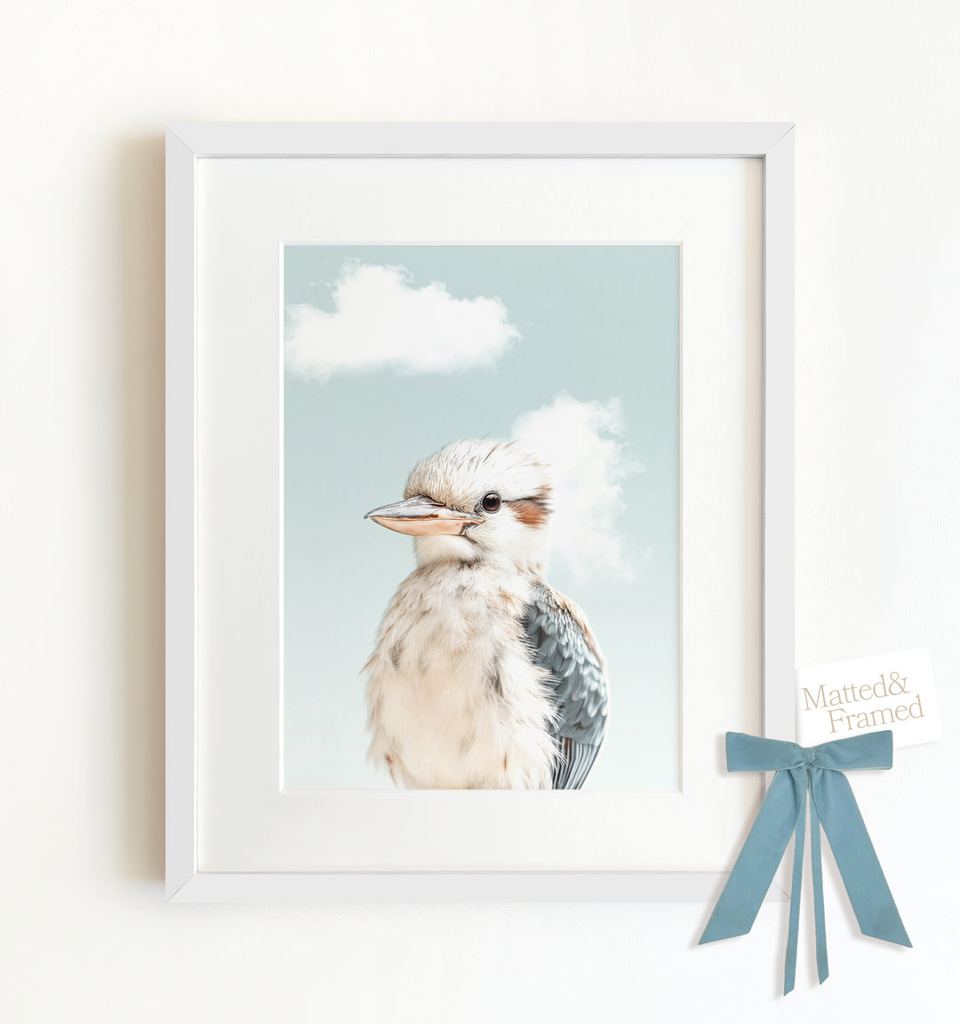 Baby Kookaburra Framed Art